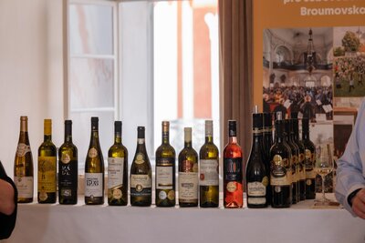dobrocinny-vecer-pro-broumovsko-2024-6.jpg