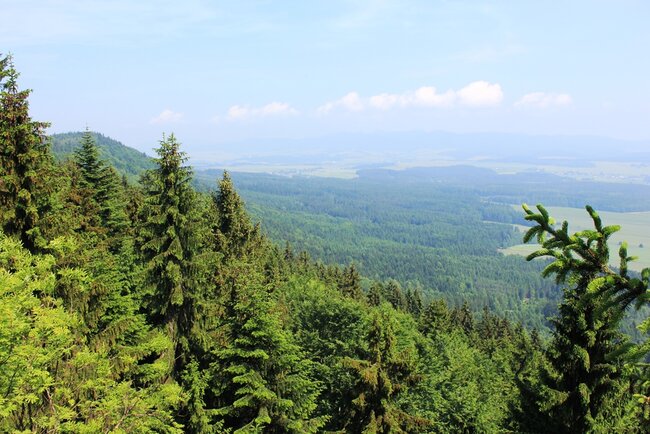 Vyjádření k otázkám kolem Broumova 2028