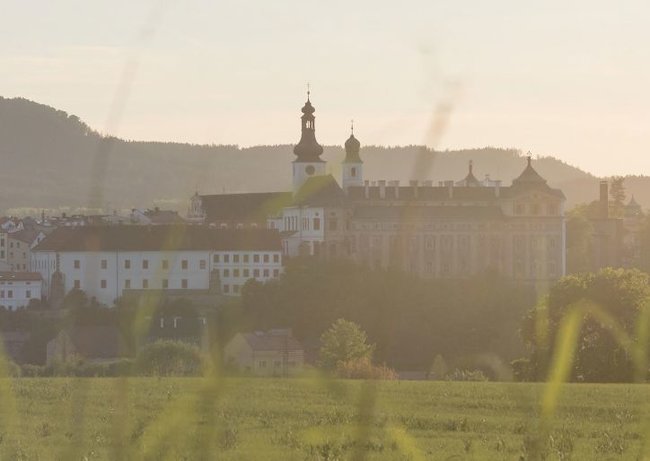 Výroční zpráva 2021