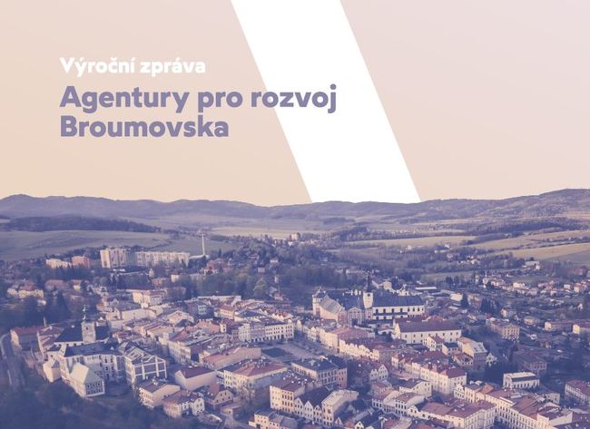 Výroční zpráva 2020