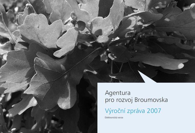 Výroční zpráva 2007