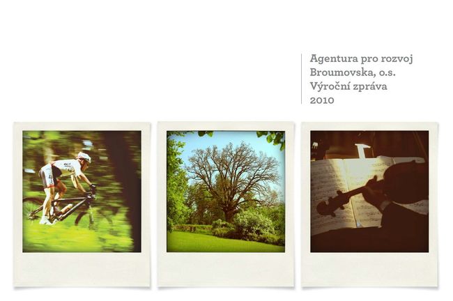 Výroční zpráva 2010