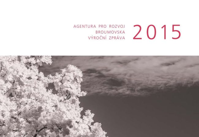 Výroční zpráva 2015