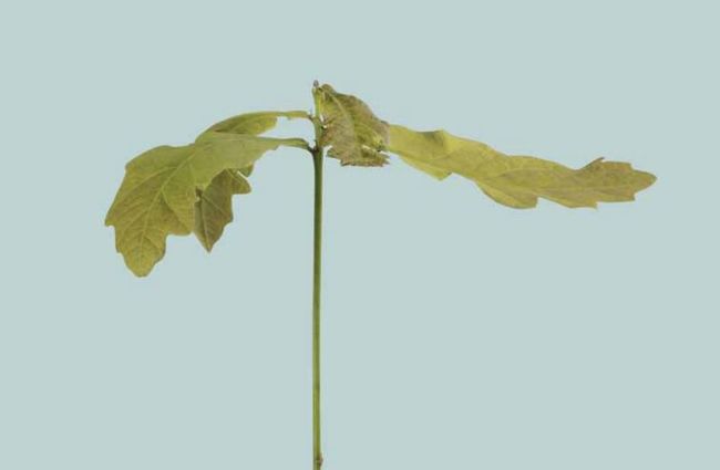 Výroční zpráva 2018